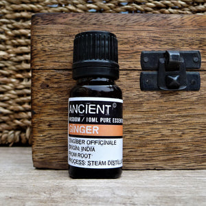 Pure Ginger Essential Oil 10ml - Pamper Dreams