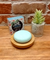 Sink Or Swim Shampoo Bar
