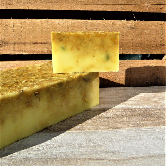 Lemon, Lime & Grapefruit Soap Slice - Pamper Dreams