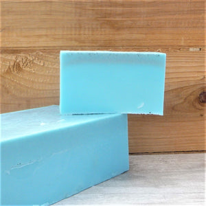 Peppermint, Eucalyptus & Pumice Soap Slice - Pamper Dreams