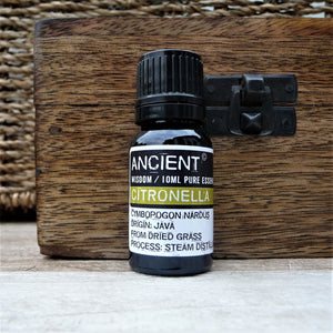 Pure Citronella Essential Oil 10ml - Pamper Dreams