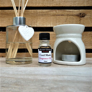 Cool Musk Fragrance Oil - Pamper Dreams