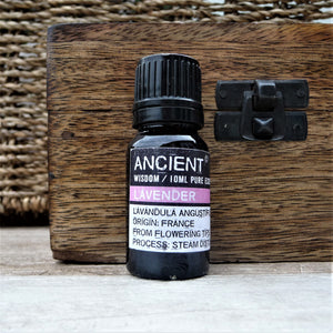 Pure Lavender Essential Oil 10ml - Pamper Dreams