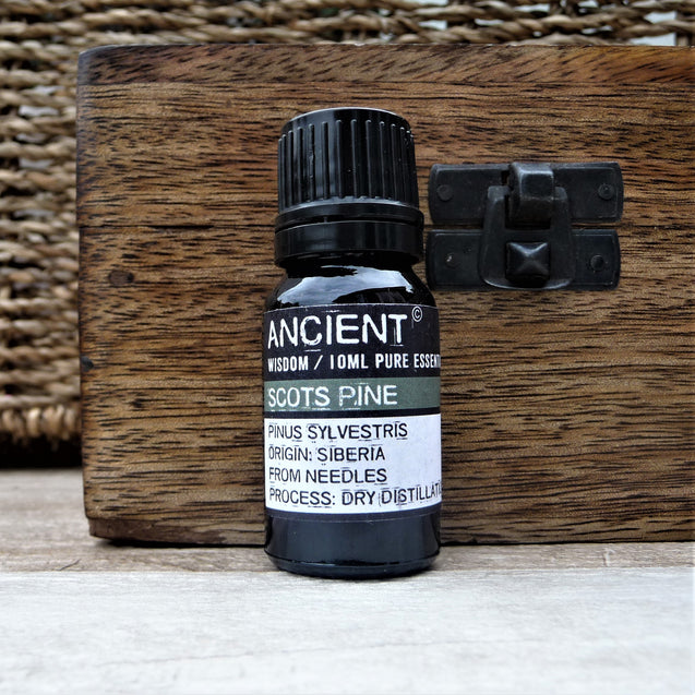 Pure Scots Pine Essential Oil 10ml - Pamper Dreams